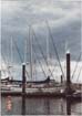 starboard quarter vertical